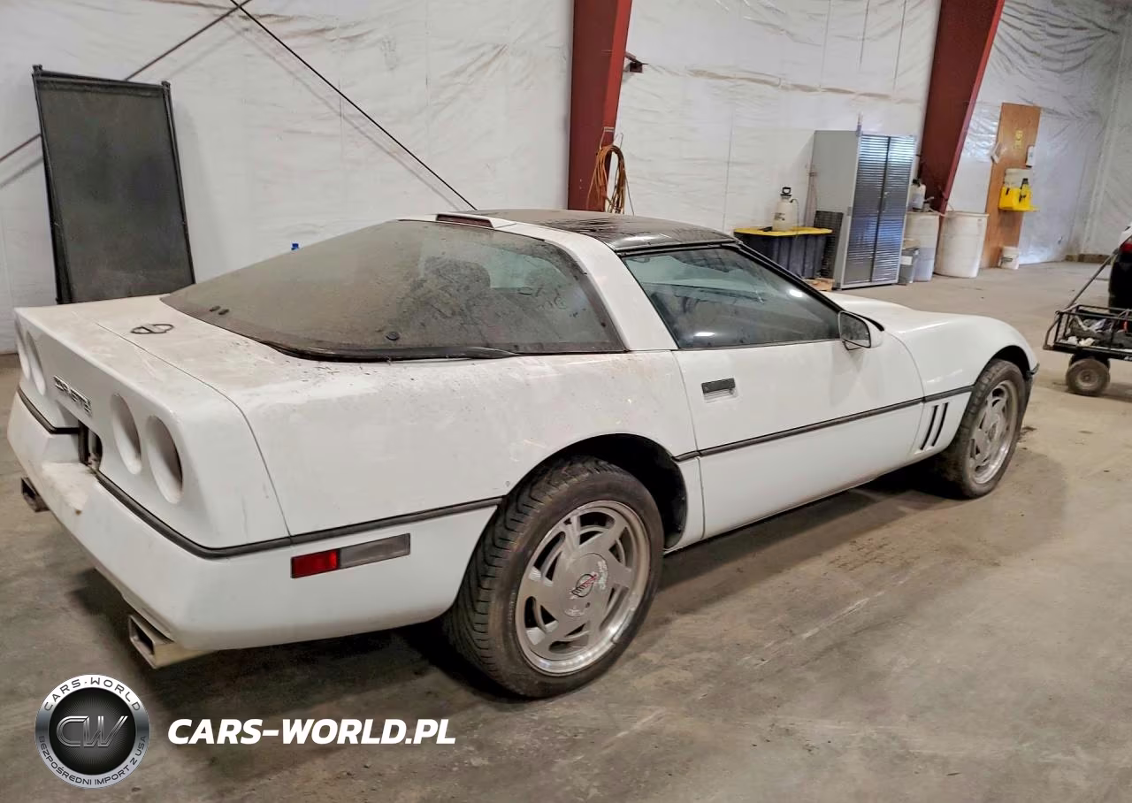 1989 Chevrolet Corvette VIN:1G1YY2187K5107038 - 3