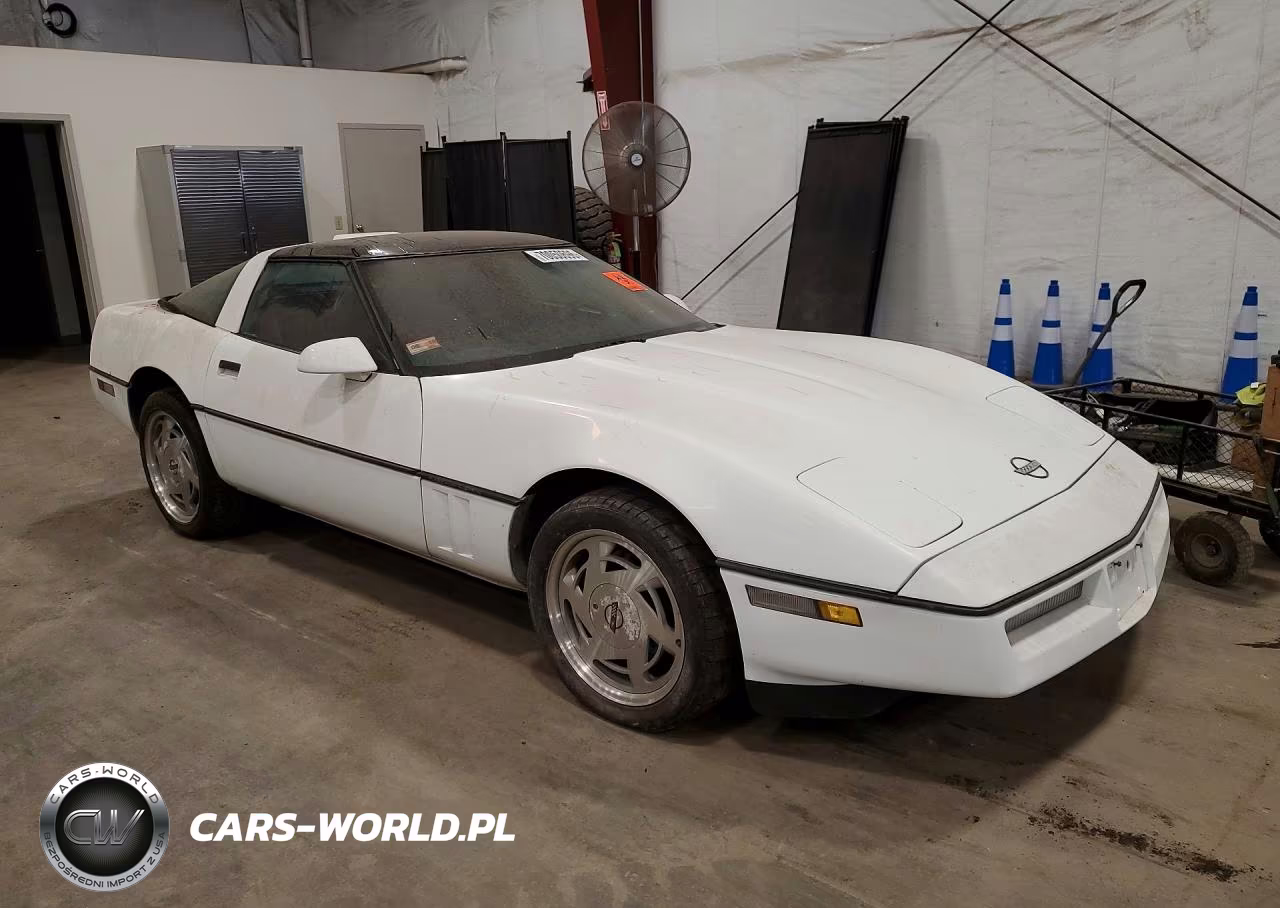 1989 Chevrolet Corvette VIN:1G1YY2187K5107038 - 4