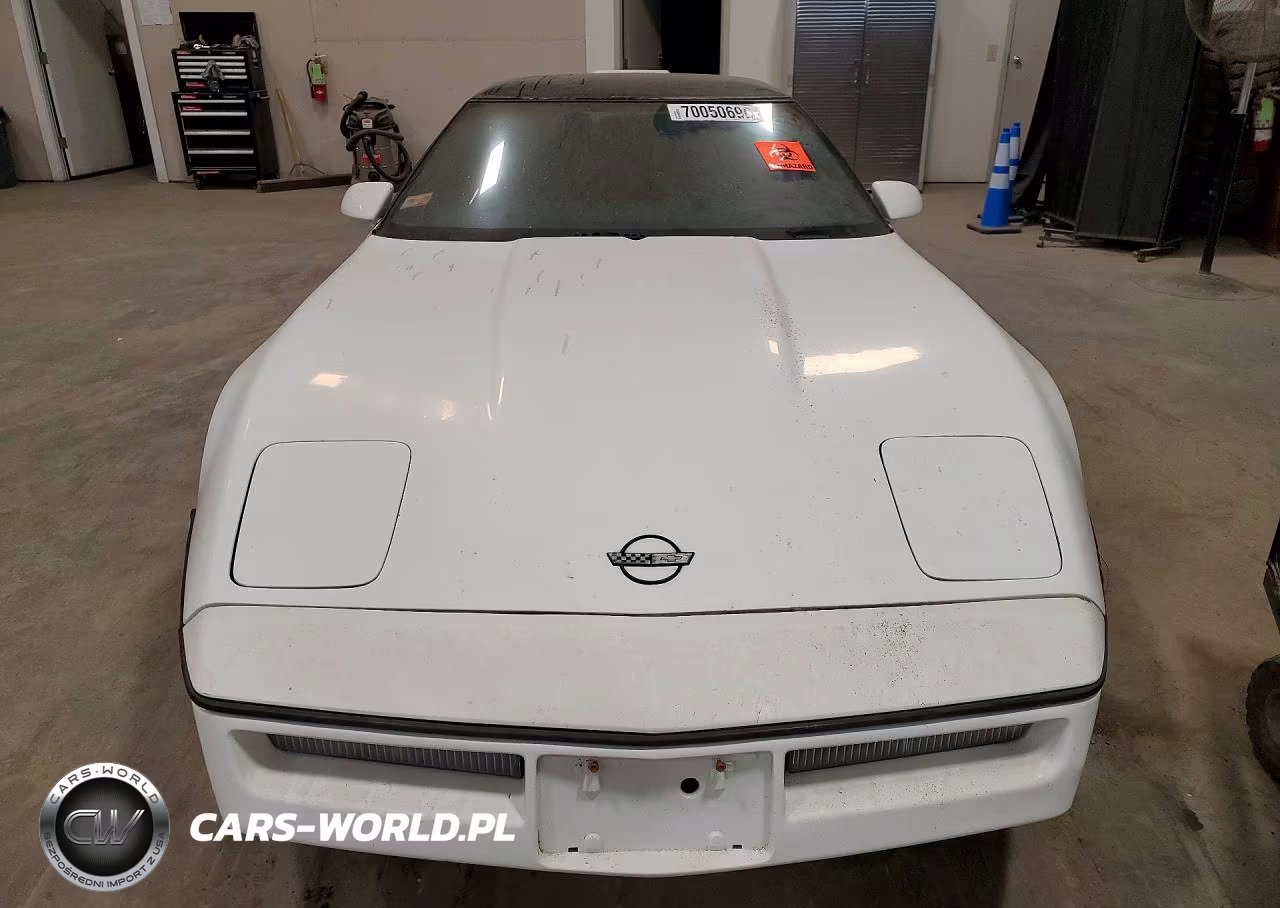 1989 Chevrolet Corvette VIN:1G1YY2187K5107038 - 5