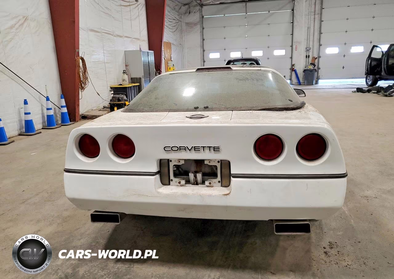 1989 Chevrolet Corvette VIN:1G1YY2187K5107038 - 6