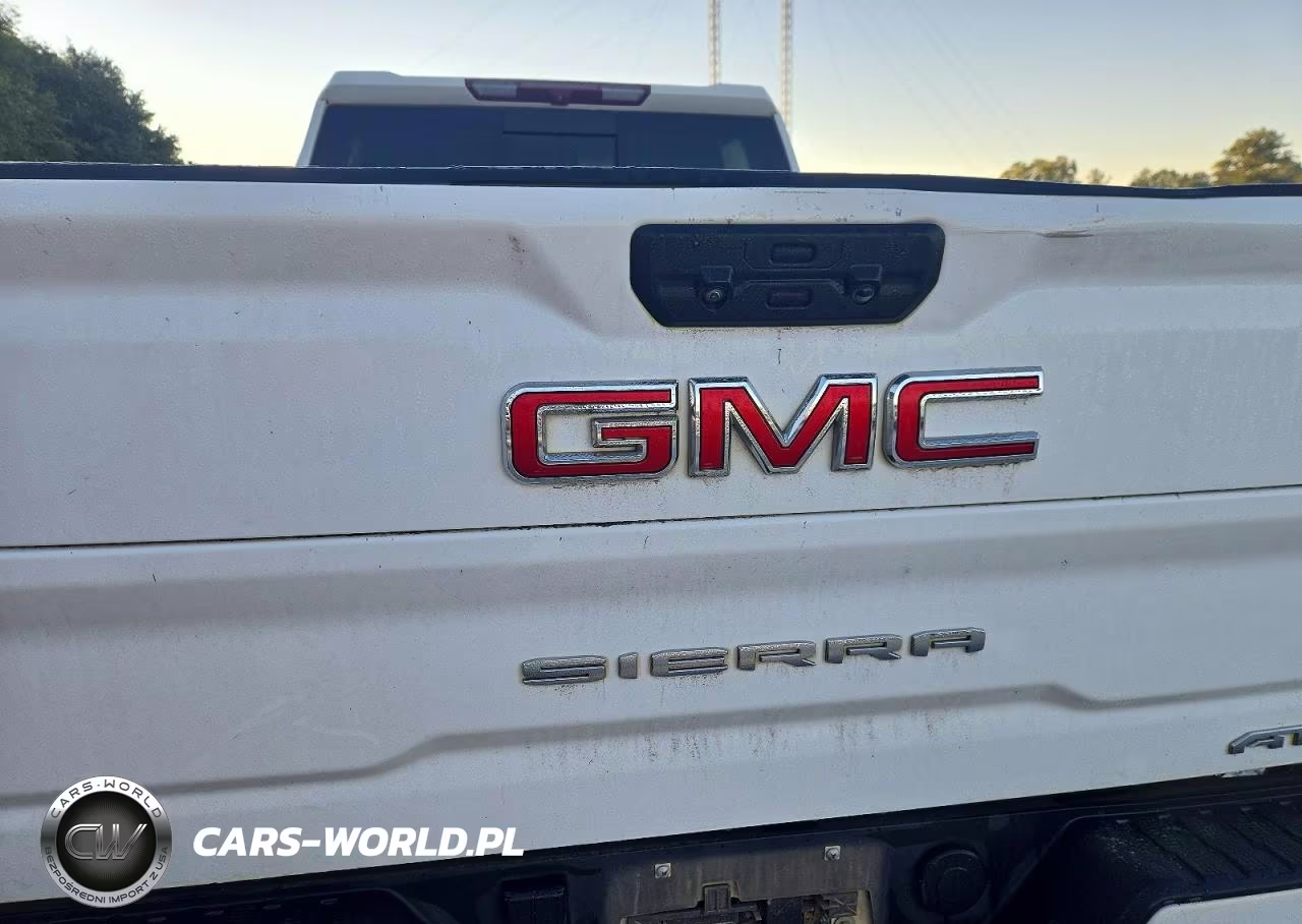 2023 GMC Sierra K3500 At4 VIN:1GT49VEYXPF164141 - 10