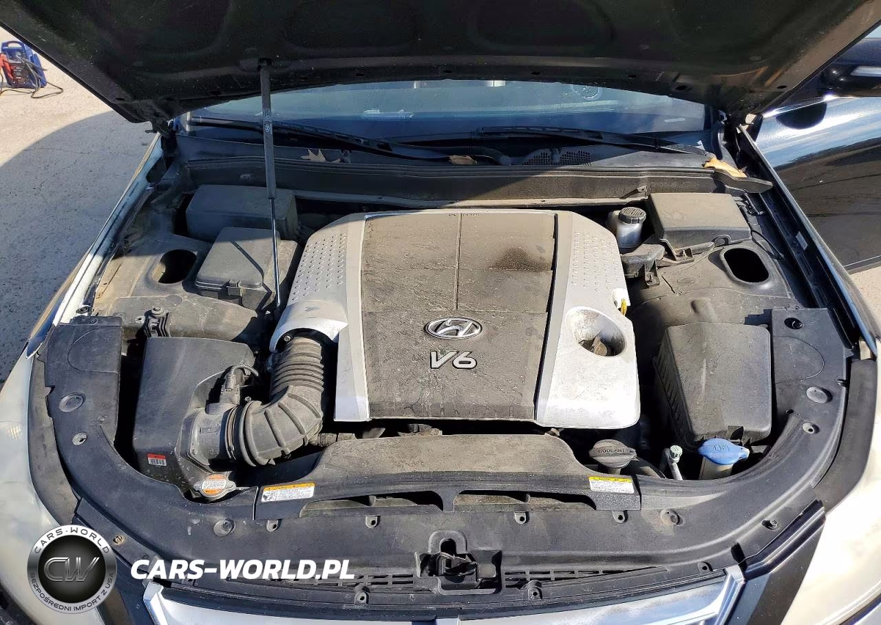 2010 Hyundai Genesis 3.8L VIN:KMHGC4DE2AU074853 - 11