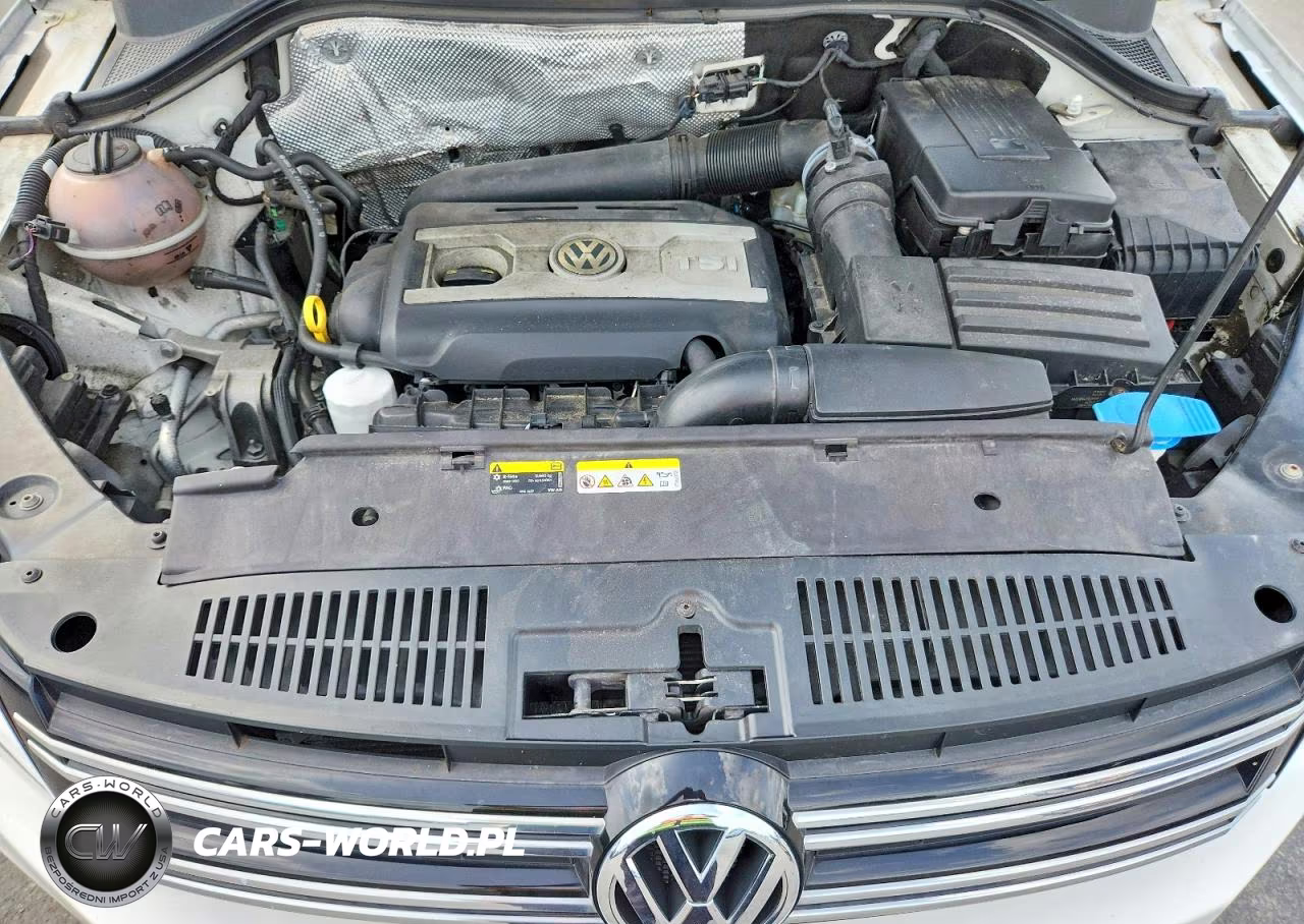 2014 Volkswagen Tiguan S VIN:WVGAV3AX0EW551452 - 12