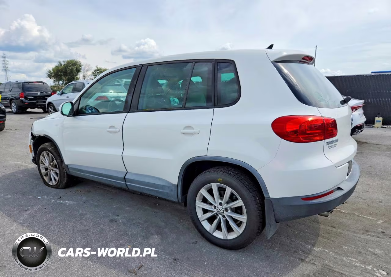 2014 Volkswagen Tiguan S VIN:WVGAV3AX0EW551452 - 2