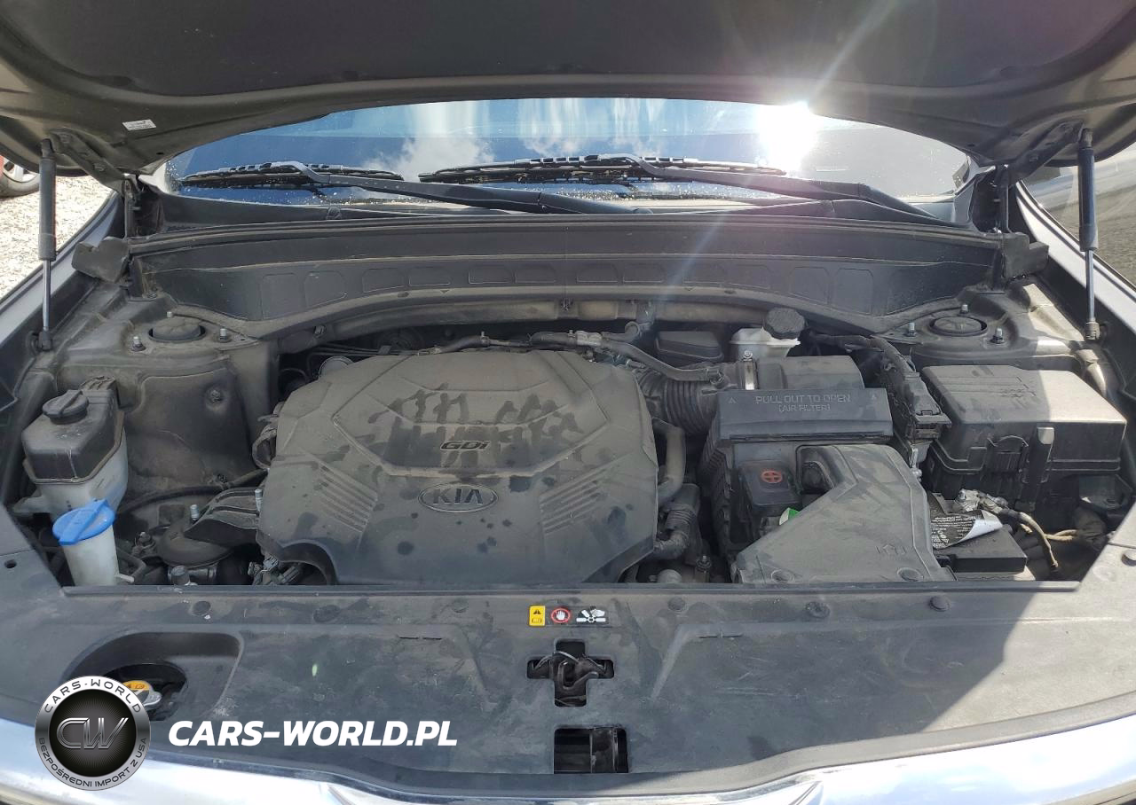 2020 Kia Telluride VIN:5XYP64HC1LG054201 - 12