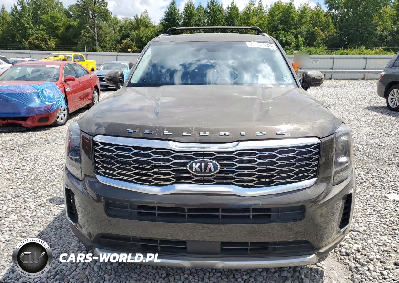 2020 Kia Telluride VIN:5XYP64HC1LG054201 - 5