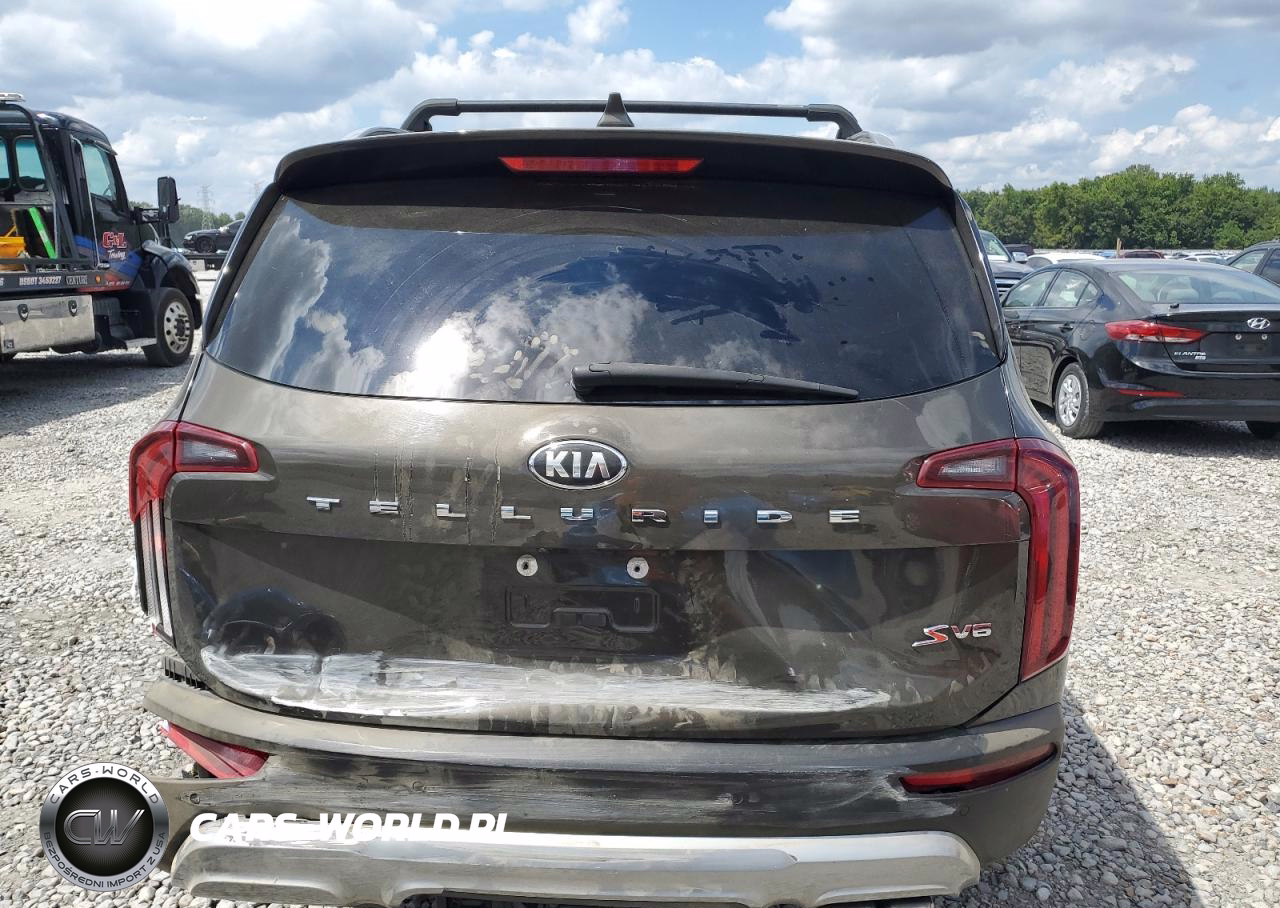 2020 Kia Telluride VIN:5XYP64HC1LG054201 - 6