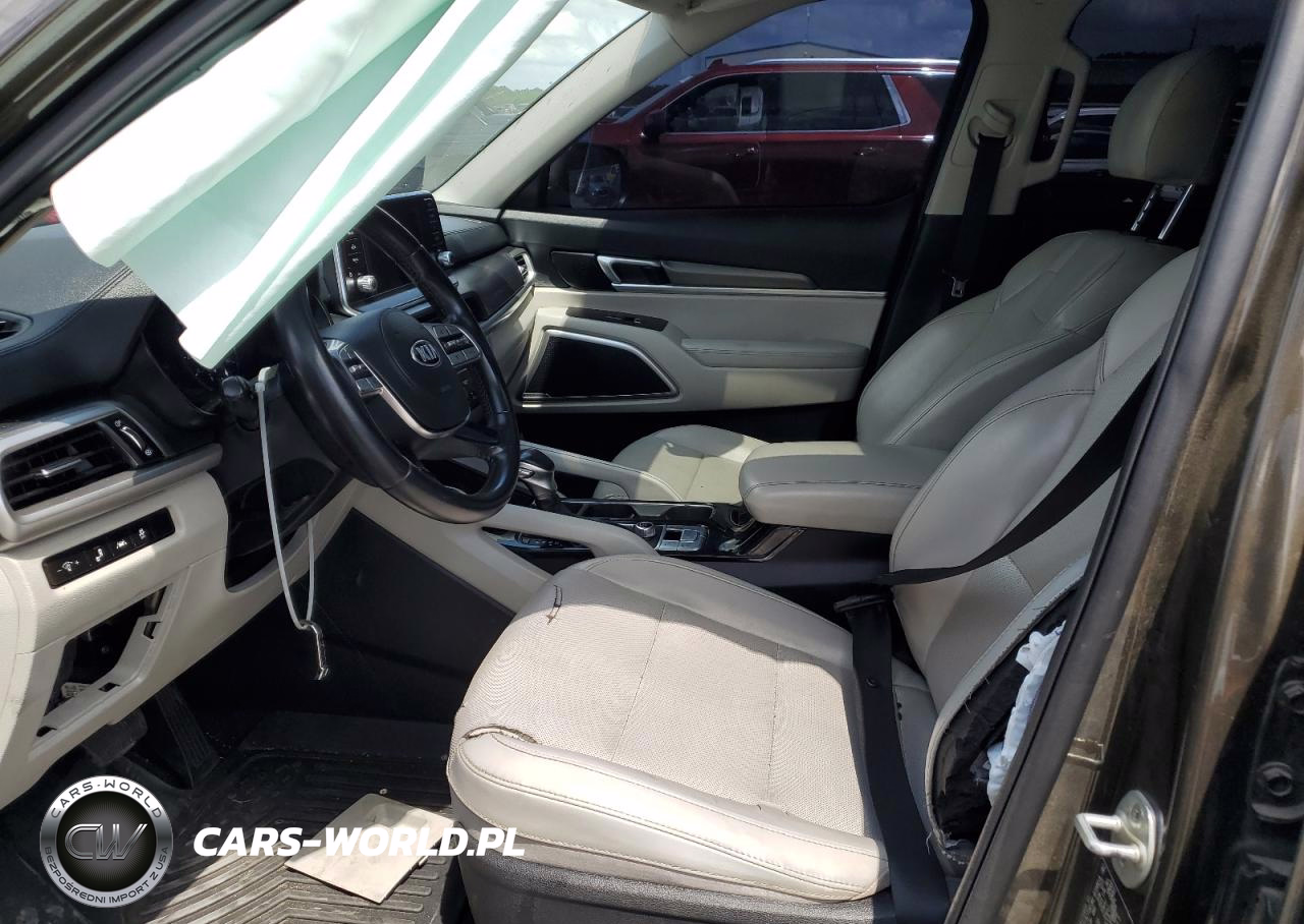 2020 Kia Telluride VIN:5XYP64HC1LG054201 - 7