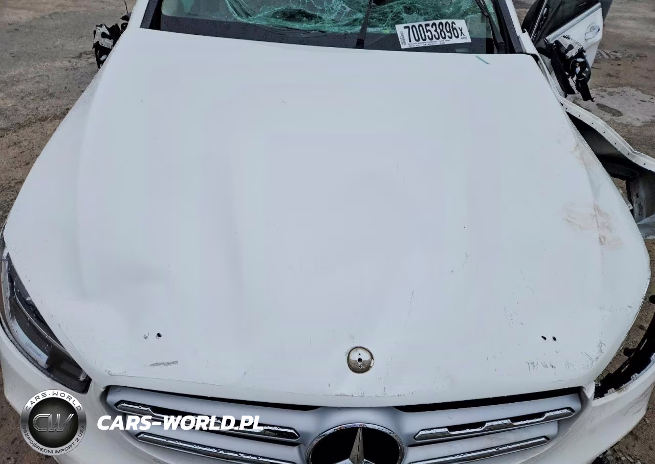 2021 Mercedes-Benz Glc 300 VIN:W1N0G8DB9MF968065 - 11