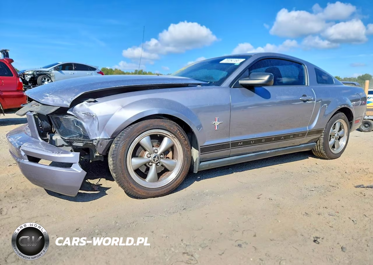 2006 Ford Mustang VIN:1ZVFT80N965173097 - 1