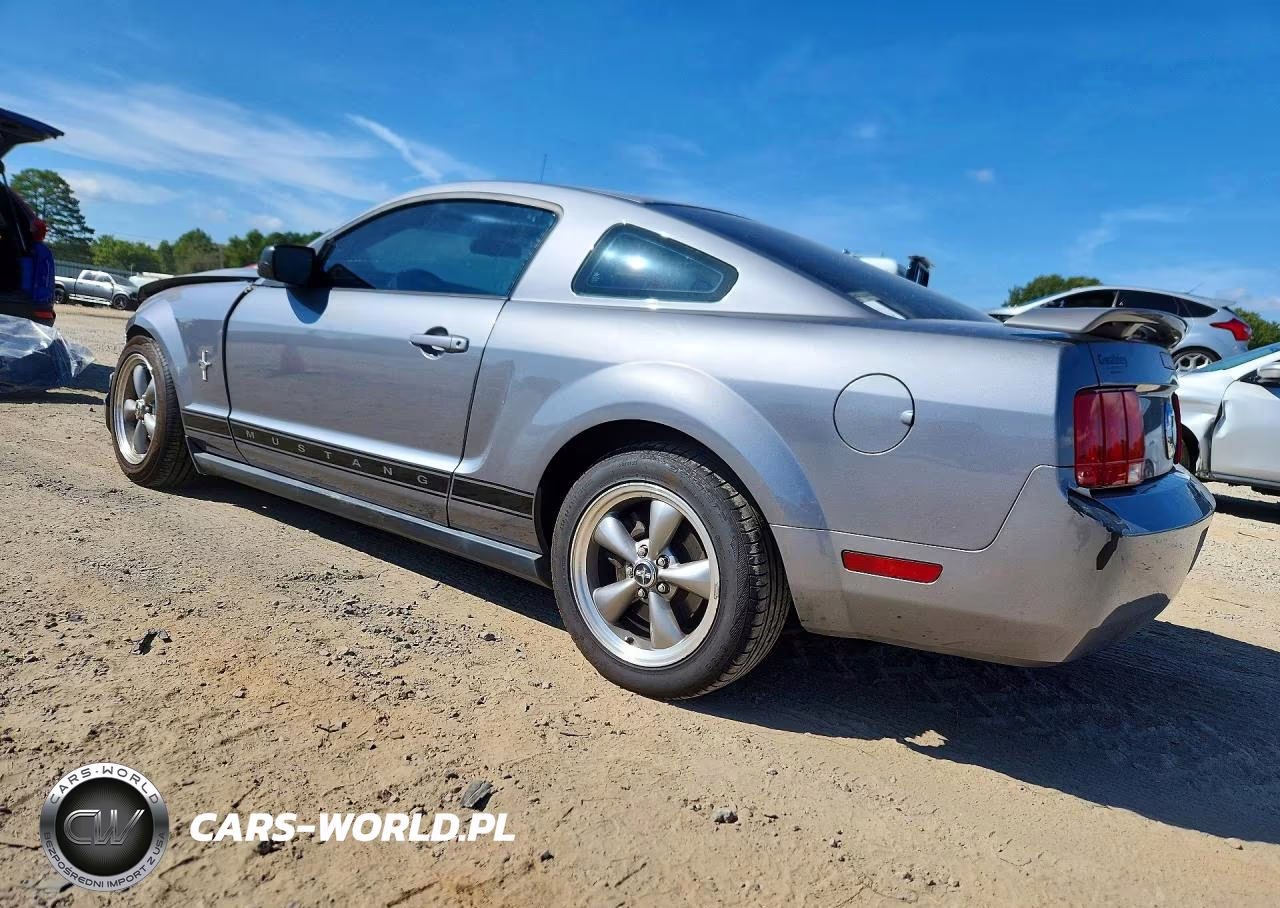 2006 Ford Mustang VIN:1ZVFT80N965173097 - 2