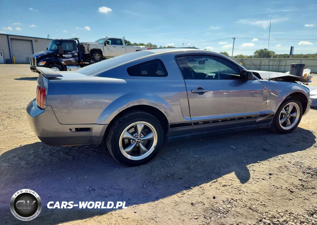 2006 Ford Mustang VIN:1ZVFT80N965173097 - 3