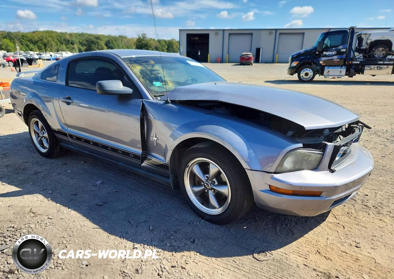 2006 Ford Mustang VIN:1ZVFT80N965173097 - 4