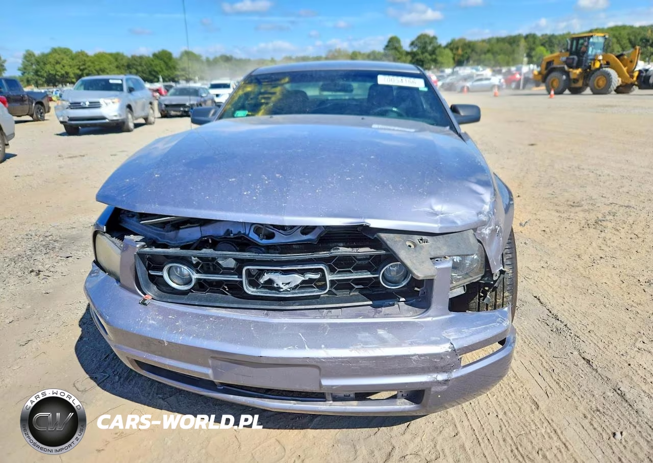2006 Ford Mustang VIN:1ZVFT80N965173097 - 5