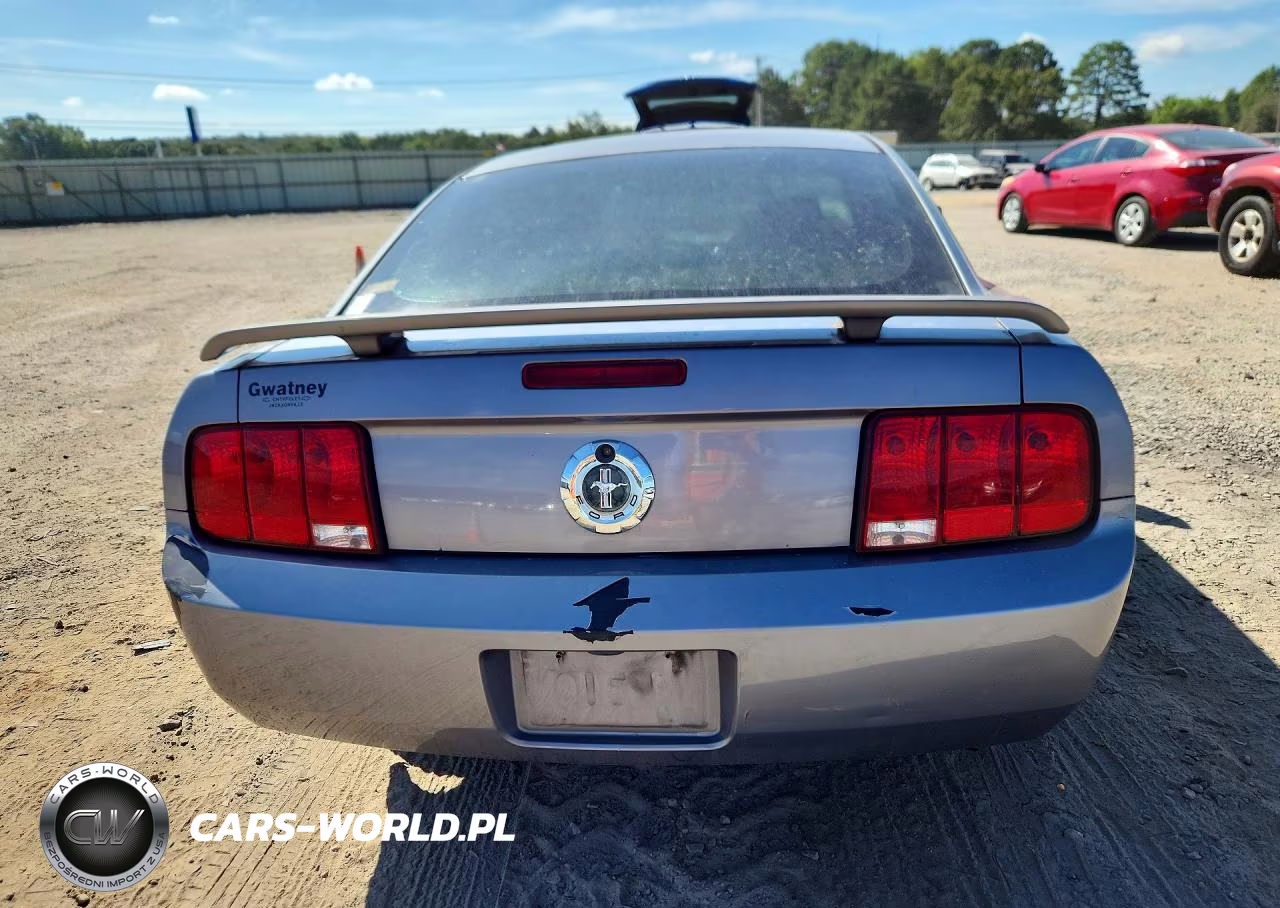 2006 Ford Mustang VIN:1ZVFT80N965173097 - 6