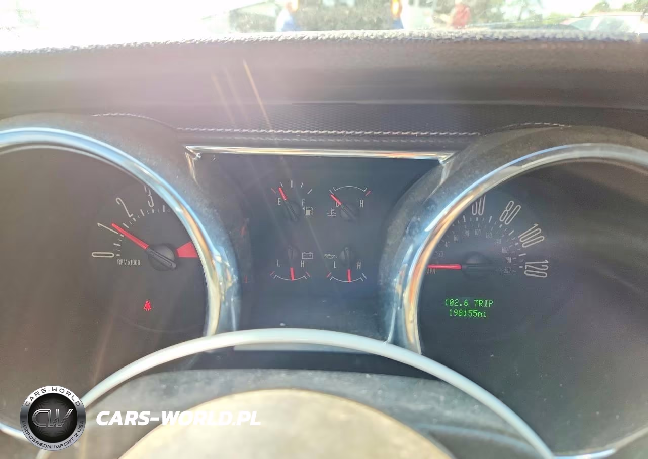 2006 Ford Mustang VIN:1ZVFT80N965173097 - 9
