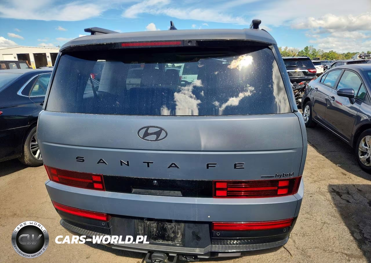 2025 Hyundai Santa Fe Calligraphy VIN:5NMP5DG13SH045586 - 6