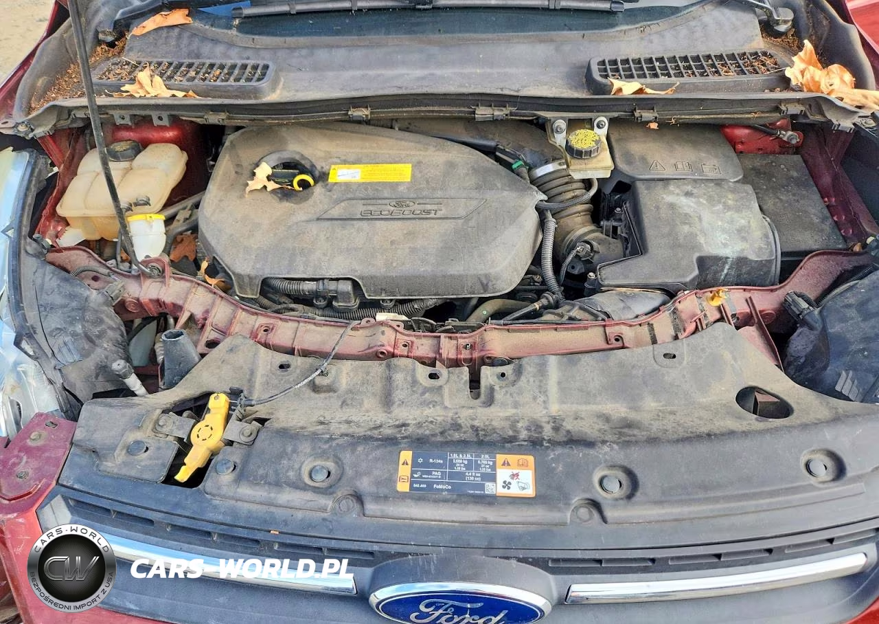 2015 Ford Escape Se VIN:1FMCU0GX9FUC56221 - 11