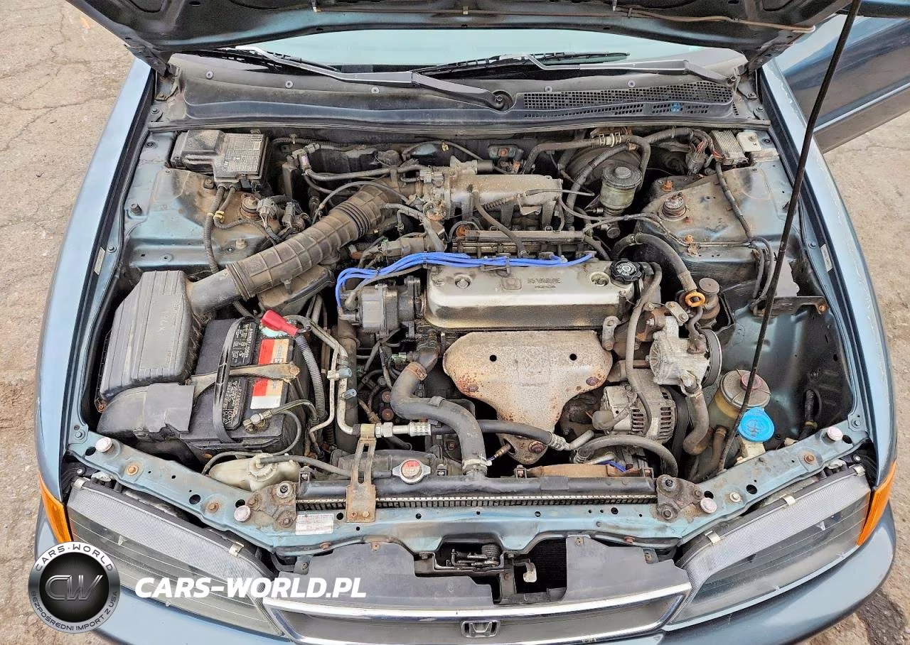 1996 Honda Accord Value VIN:1HGCD5696TA243123 - 11