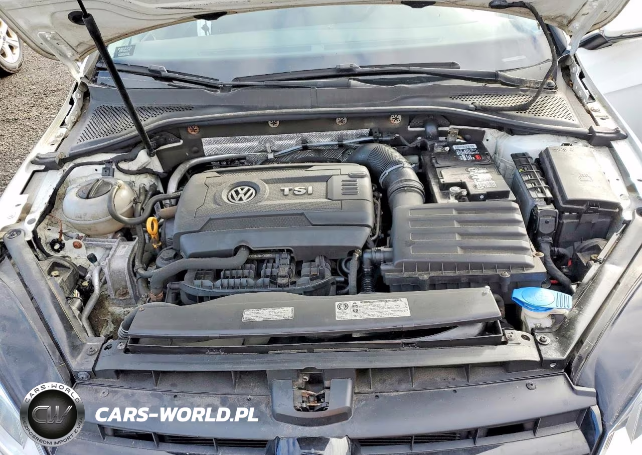 2017 Volkswagen Golf Sportwagen S VIN:3VW017AU5HM512656 - 11