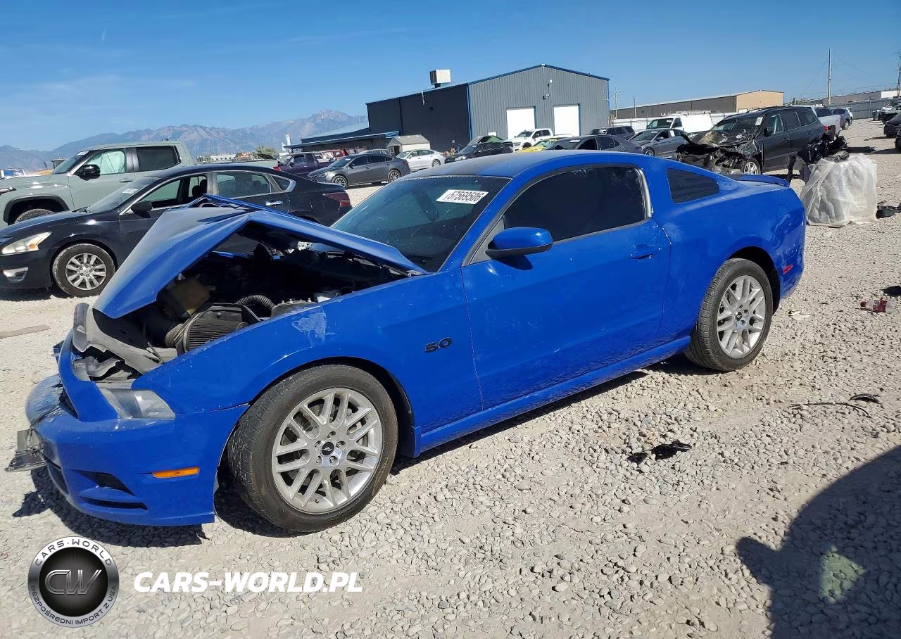 2014 Ford Mustang Gt VIN:1ZVBP8CF5E5235729 - 2