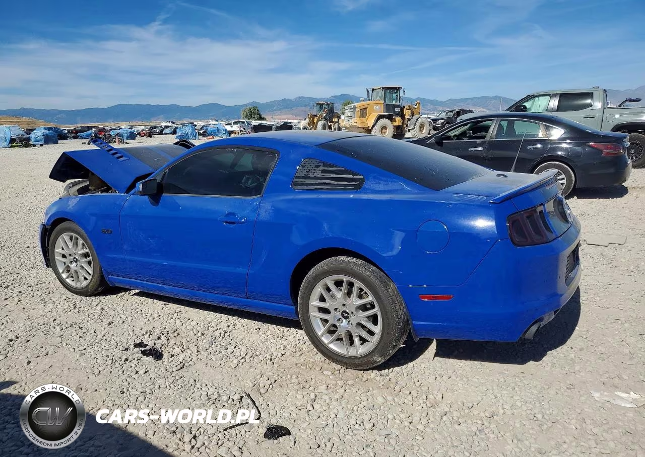 2014 Ford Mustang Gt VIN:1ZVBP8CF5E5235729 - 3