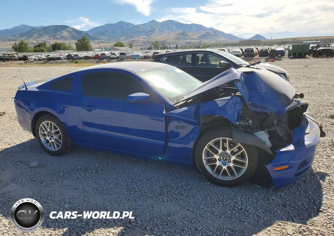 2014 Ford Mustang Gt VIN:1ZVBP8CF5E5235729 - 5