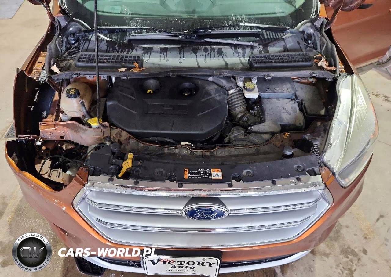 2017 Ford Escape Se VIN:1FMCU9G99HUB04688 - 12