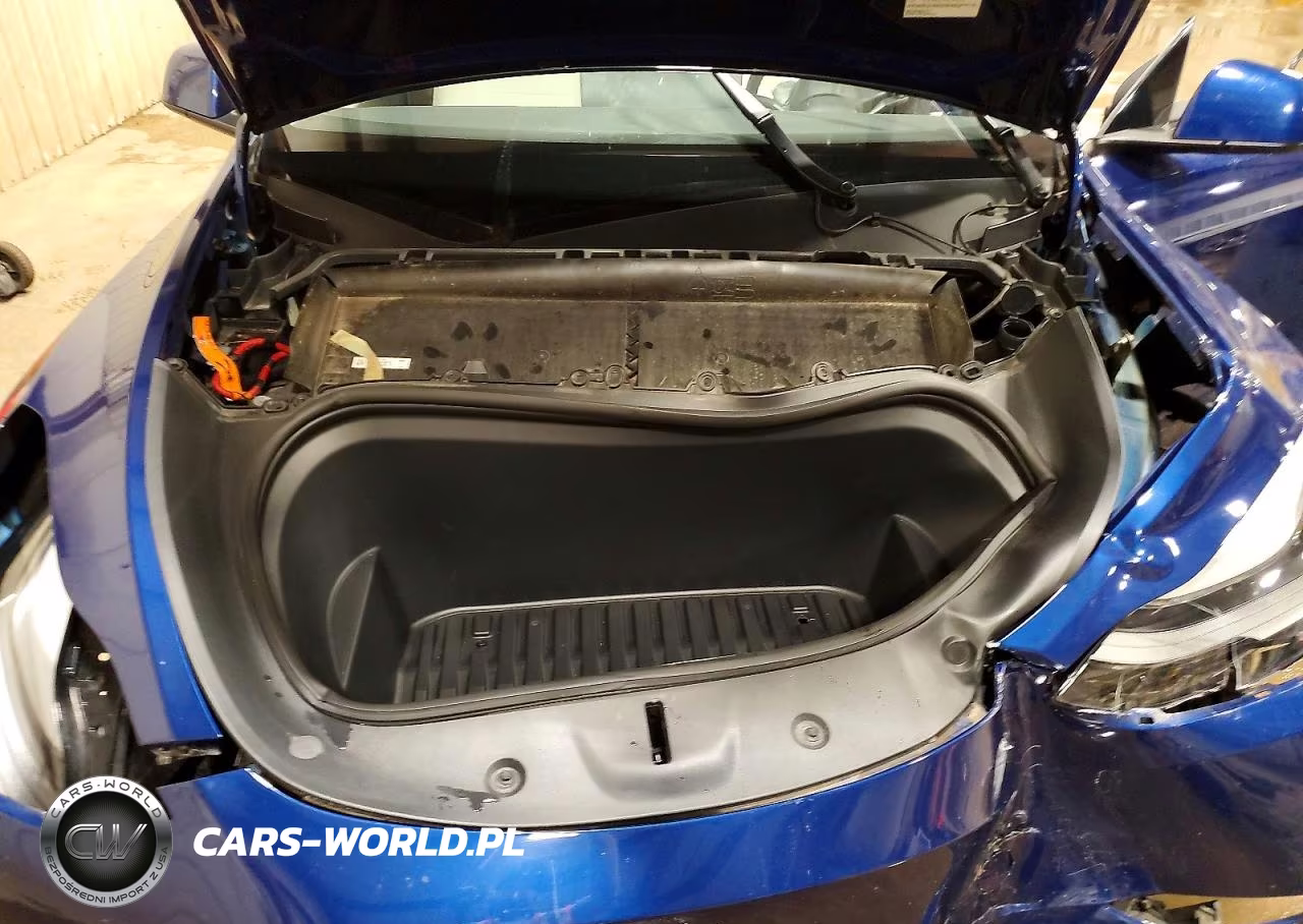 2023 Tesla Model Y VIN:7SAYGDEEXPF670986 - 11