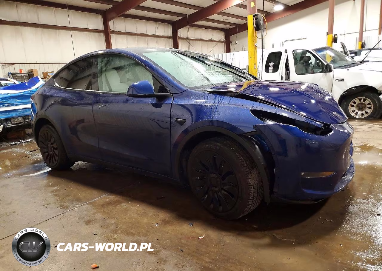 2023 Tesla Model Y VIN:7SAYGDEEXPF670986 - 4