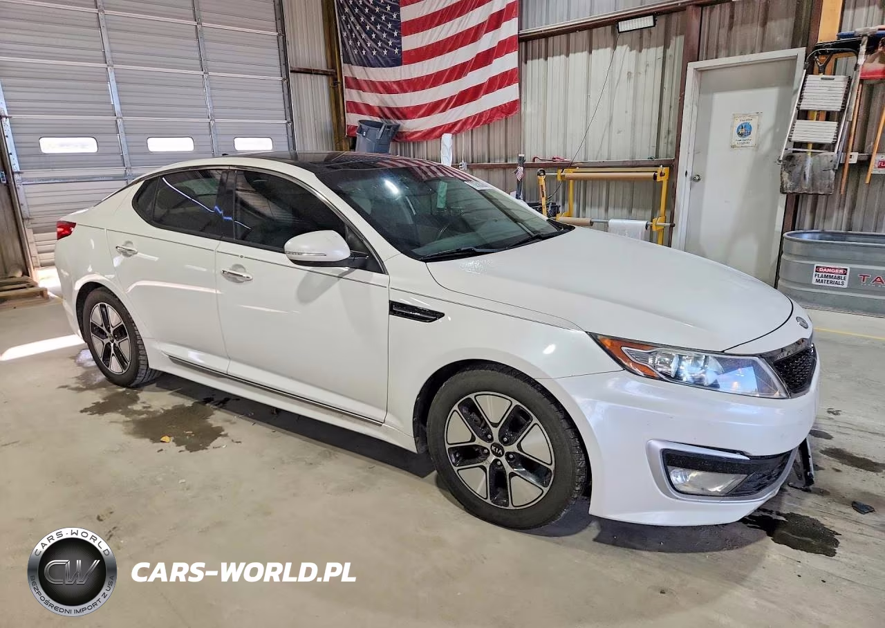 2012 Kia Optima Hybrid VIN:KNAGM4AD1C5030141 - 4