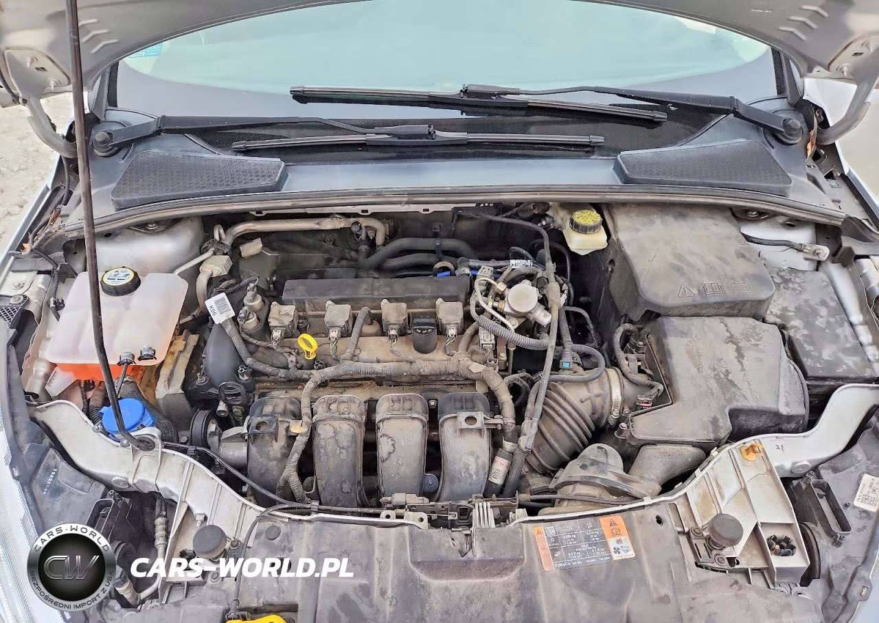 2017 Ford Focus Sel VIN:1FADP3H28HL290122 - 11