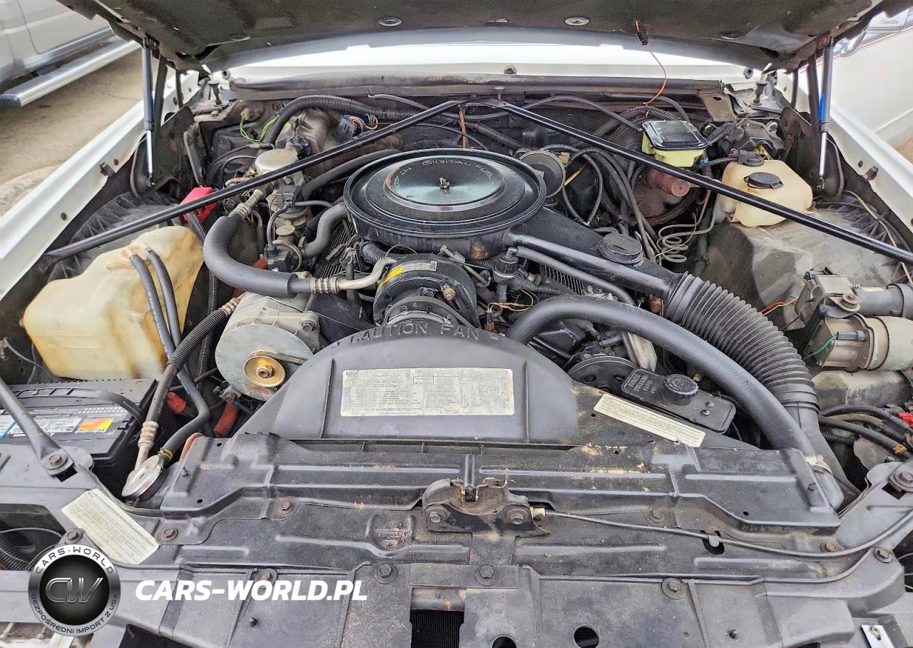 1985 Cadillac Eldorado Biarritz VIN:1G6EL6787FE641639 - 11