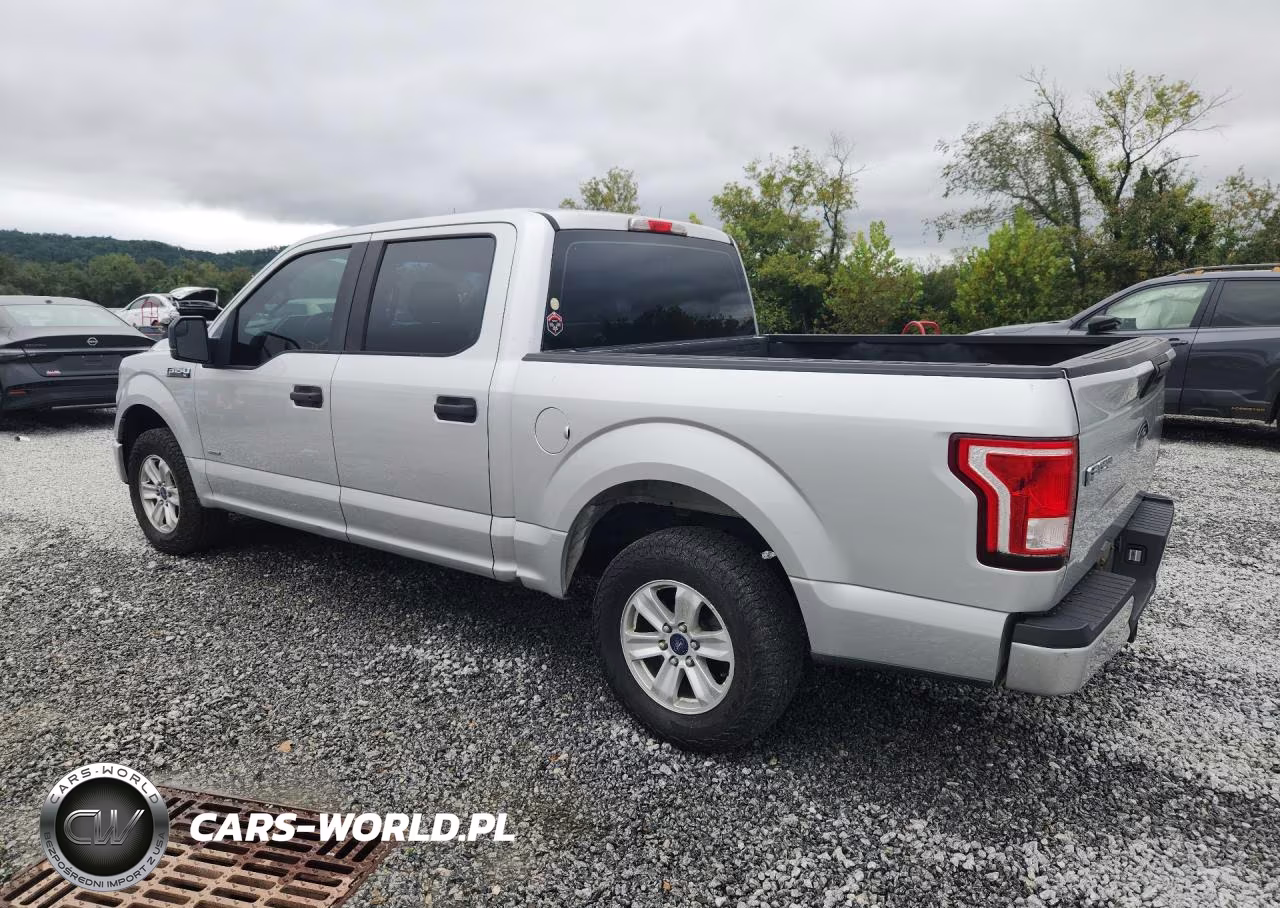 2015 Ford F150 Supercrew VIN:1FTEW1CP6FFB95109 - 2