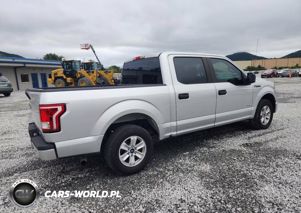 2015 Ford F150 Supercrew VIN:1FTEW1CP6FFB95109 - 3
