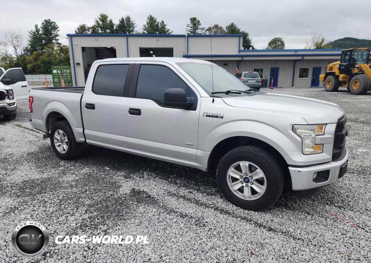 2015 Ford F150 Supercrew VIN:1FTEW1CP6FFB95109 - 4