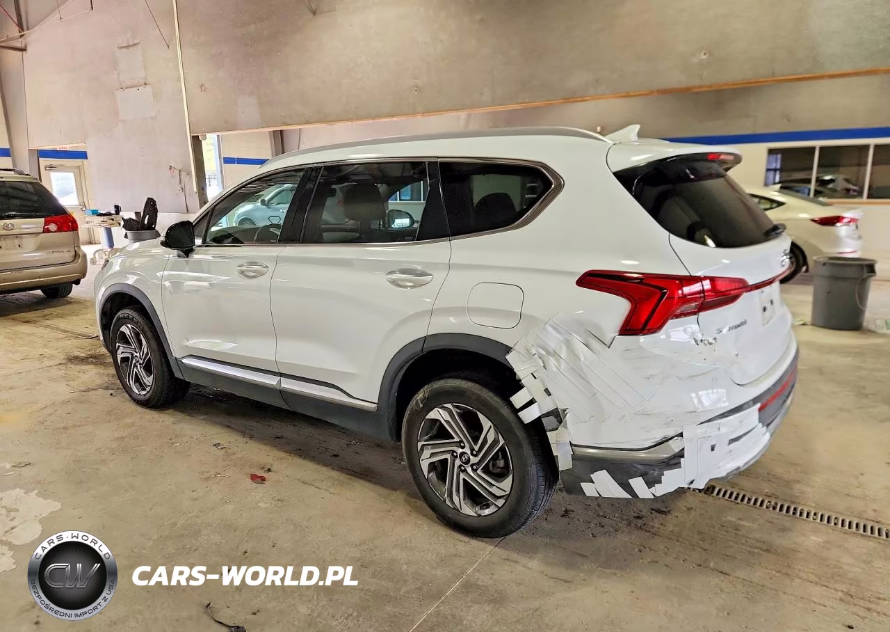 2021 Hyundai Santa Fe Sel VIN:5NMS6DAJ2MH325678 - 2