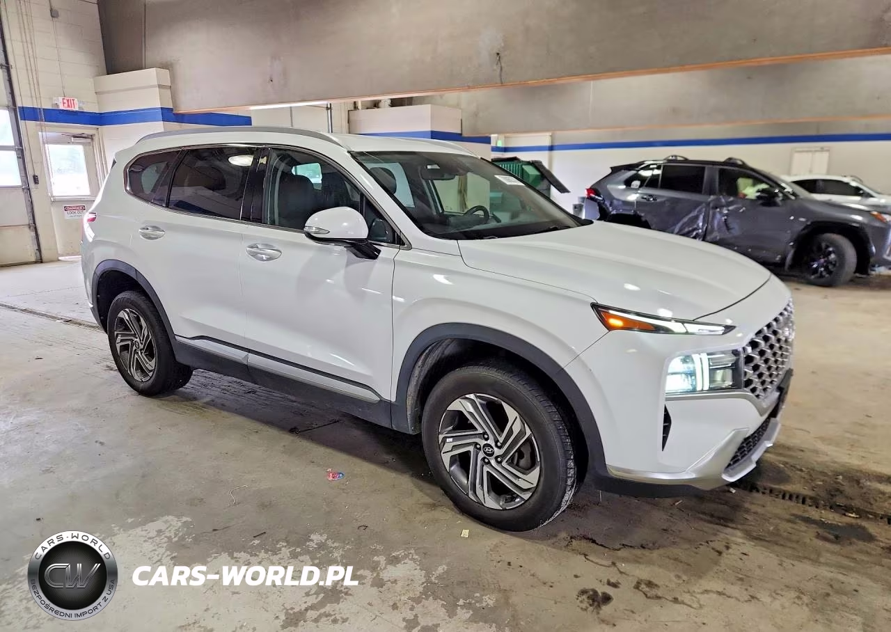 2021 Hyundai Santa Fe Sel VIN:5NMS6DAJ2MH325678 - 4