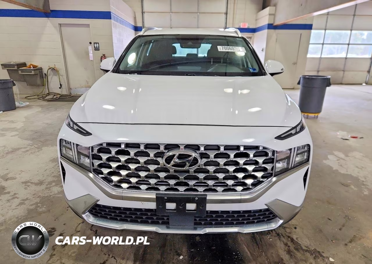 2021 Hyundai Santa Fe Sel VIN:5NMS6DAJ2MH325678 - 5