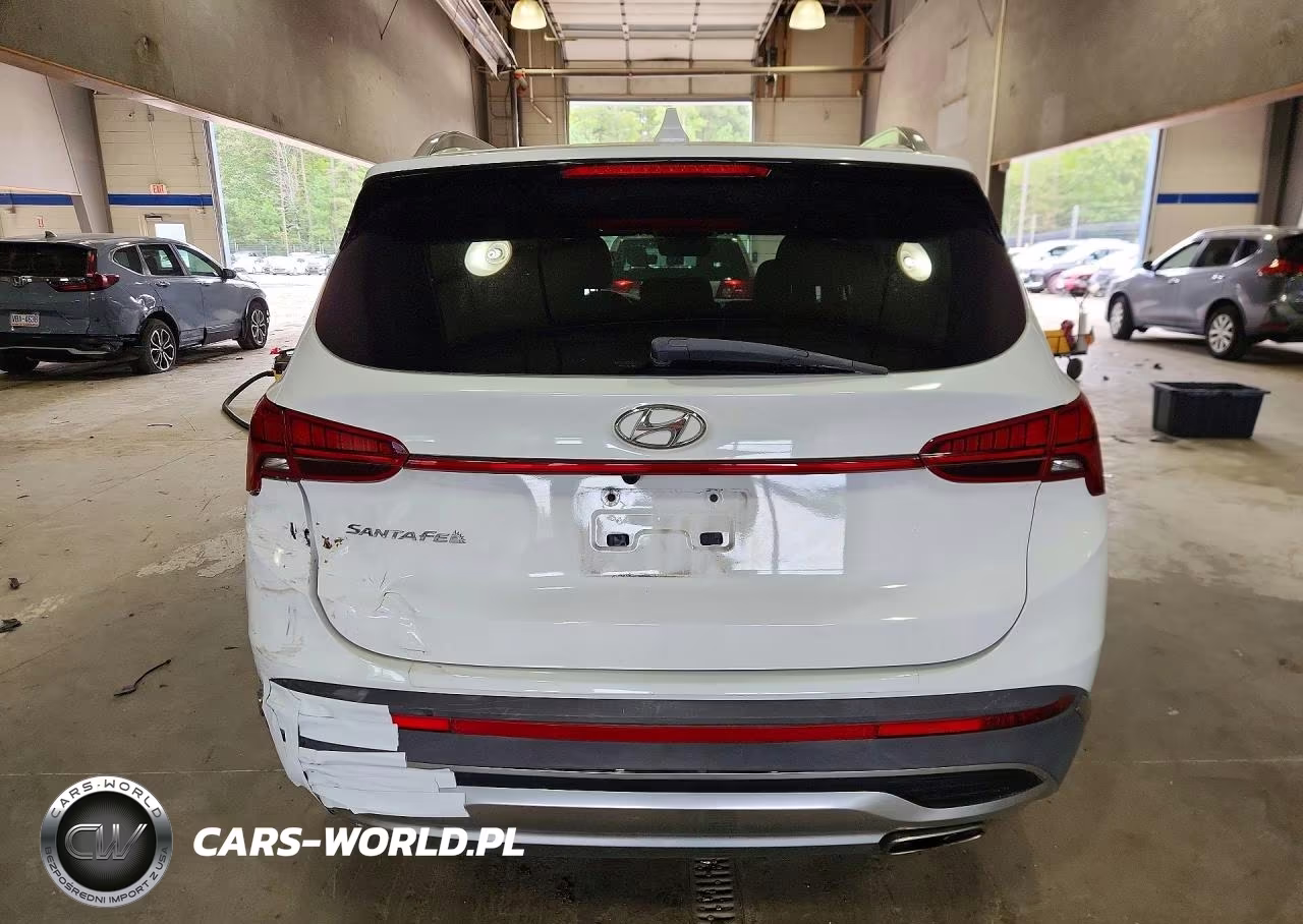2021 Hyundai Santa Fe Sel VIN:5NMS6DAJ2MH325678 - 6