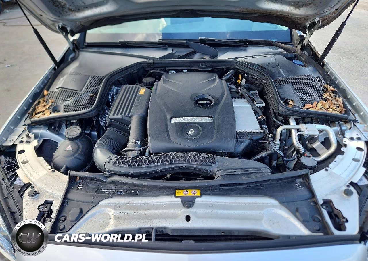 2017 Mercedes-Benz C 300 VIN:55SWF4JBXHU206535 - 11