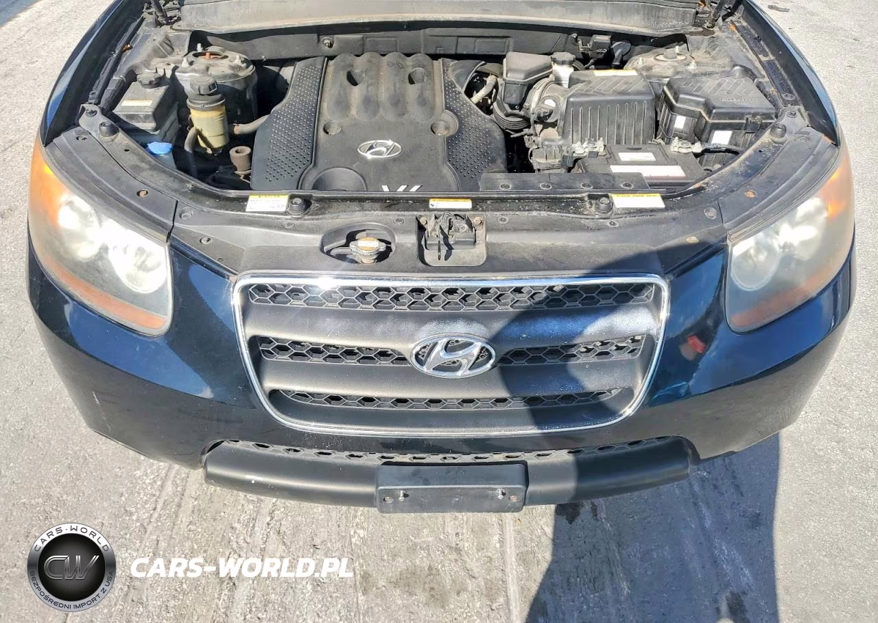 2007 Hyundai Santa Fe Gls VIN:KM8SG13DX7U141102 - 12