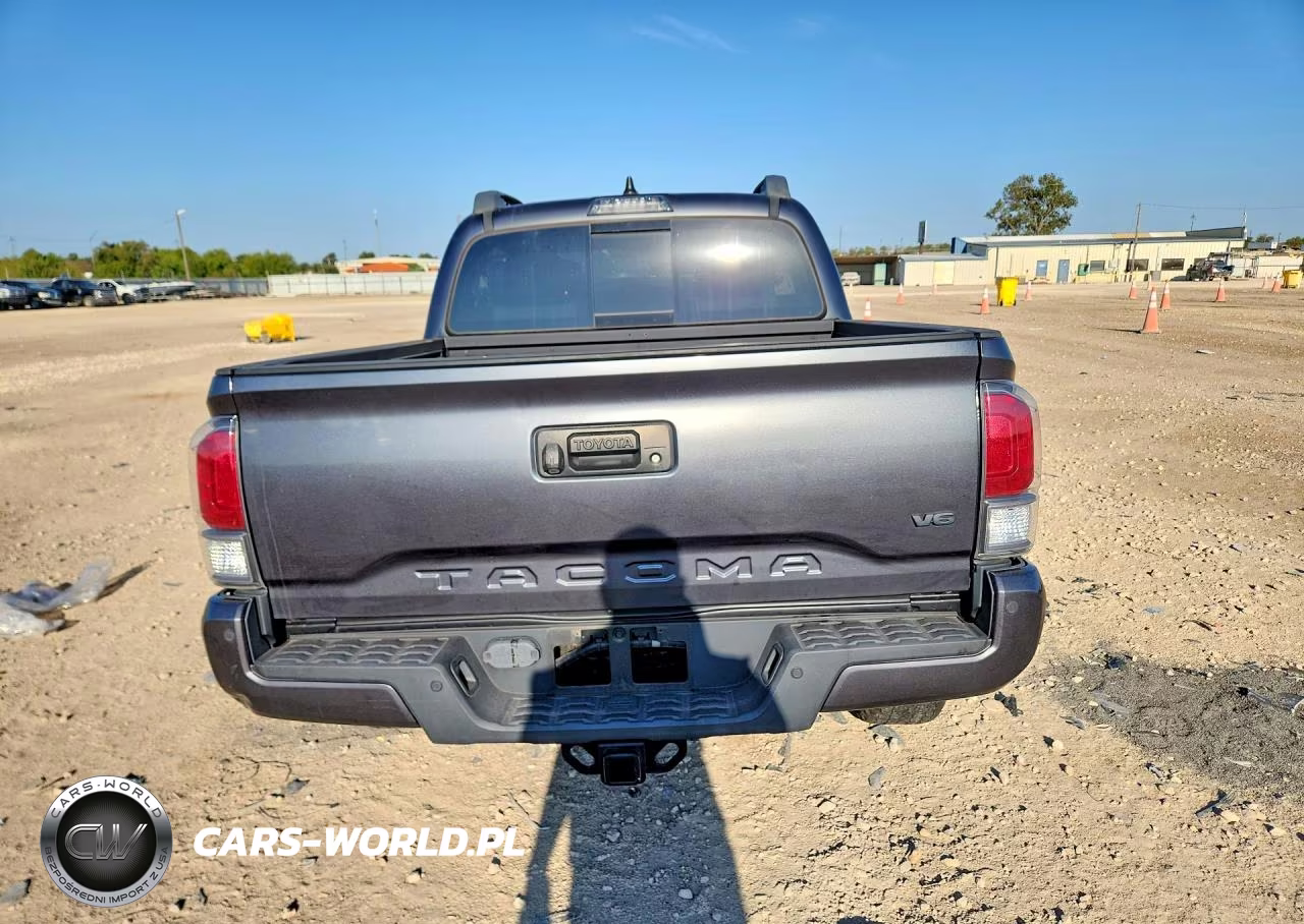 2021 Toyota Tacoma Trd Off-Road VIN:3TMCZ5ANXMM415808 - 6