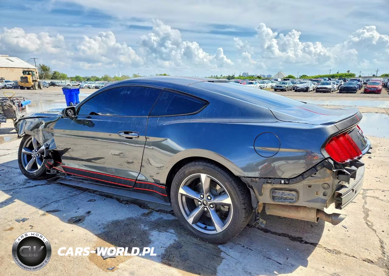 2017 Ford Mustang VIN:1FA6P8TH2H5358257 - 2