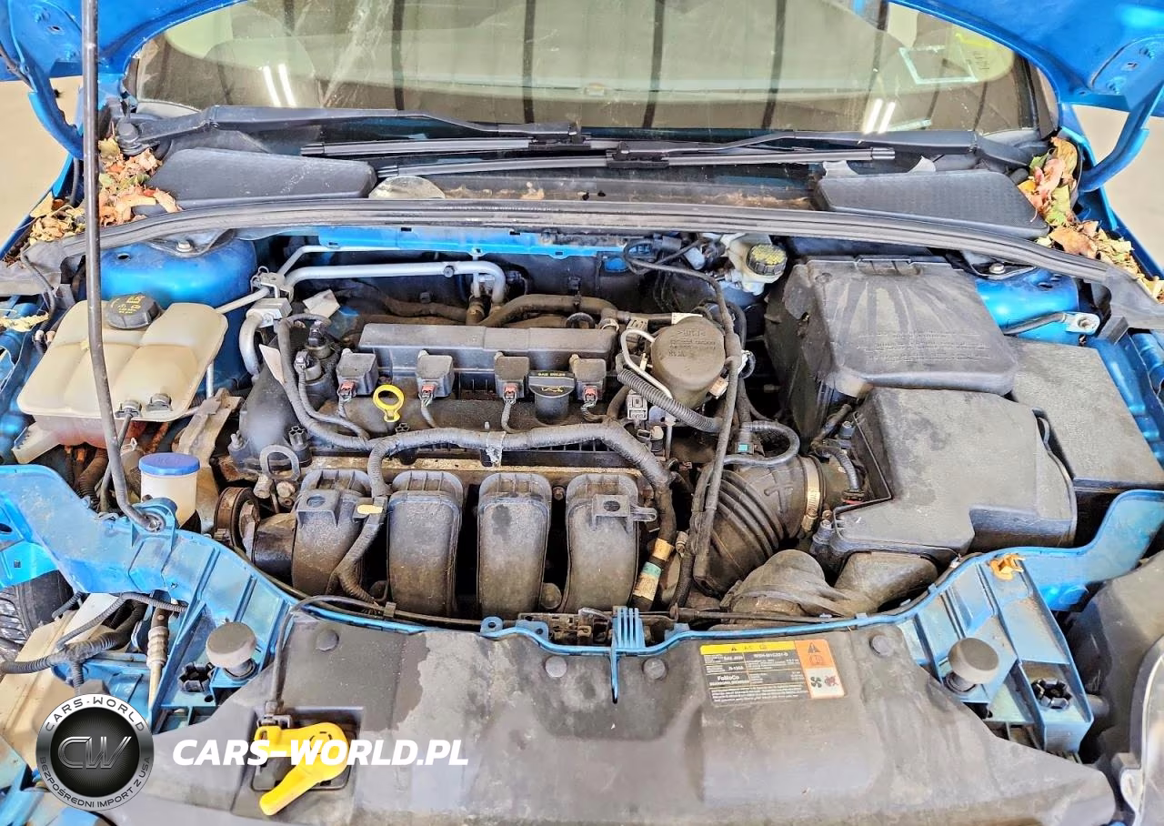2014 Ford Focus Se VIN:1FADP3K26EL174678 - 11