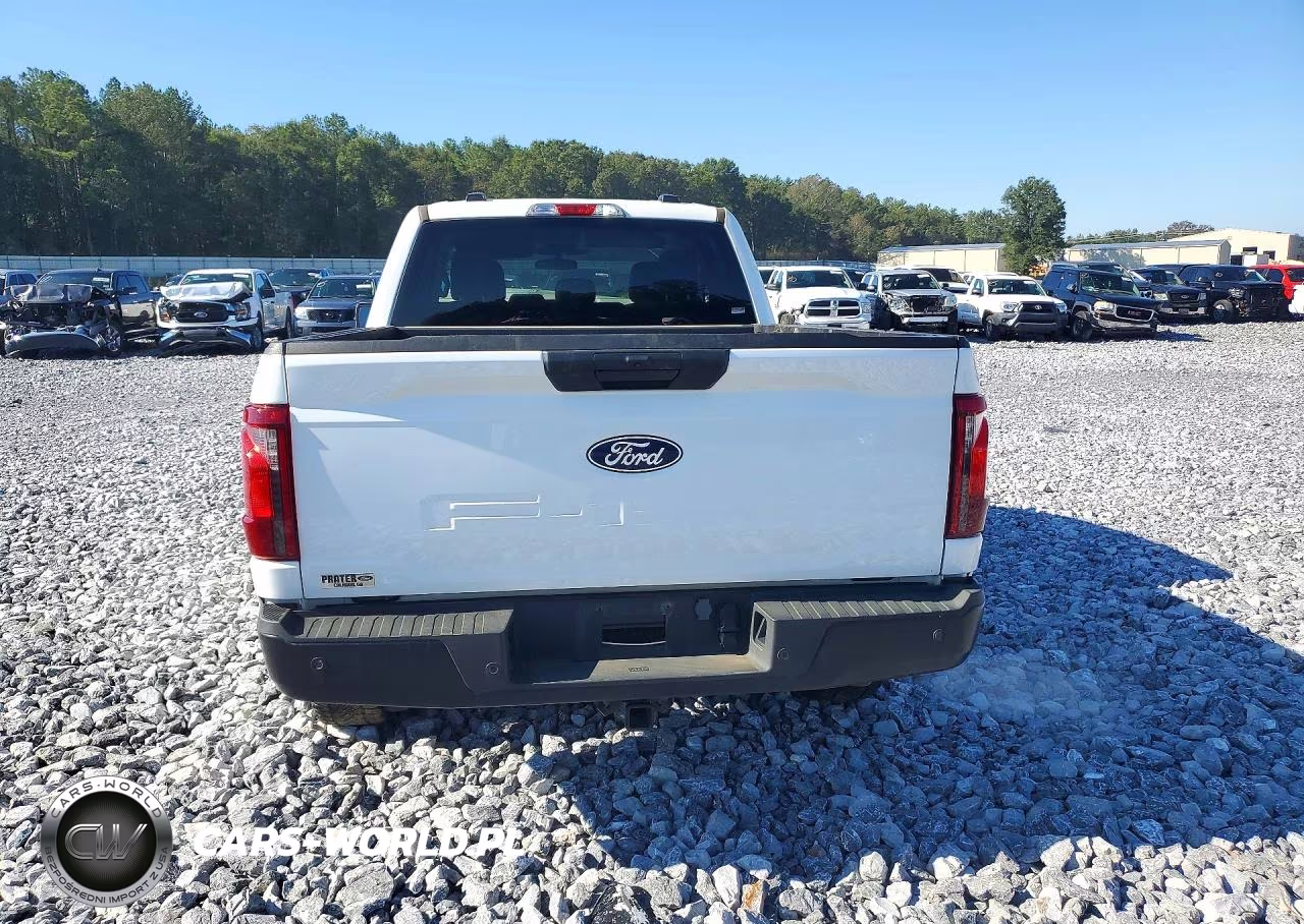 2025 Ford F150 Xl VIN:1FTEX1LP5SKE73349 - 6