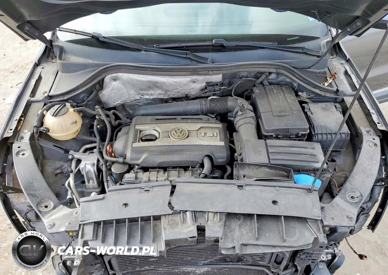 2012 Volkswagen Tiguan S VIN:WVGAV7AX3CW003336 - 12