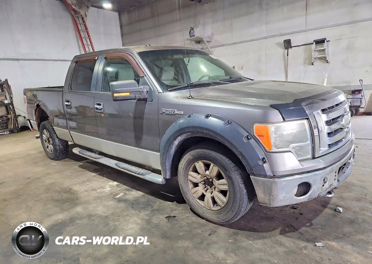 2009 Ford F150 Supercrew VIN:1FTRW14879FA13348 - 4