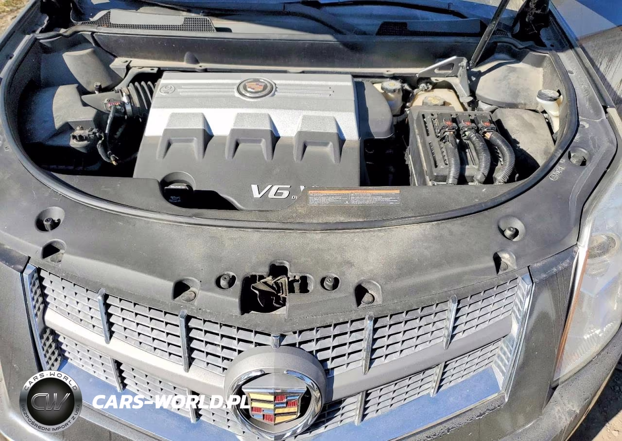 2010 Cadillac Srx Luxury Collection VIN:3GYFNDEY2AS565534 - 12