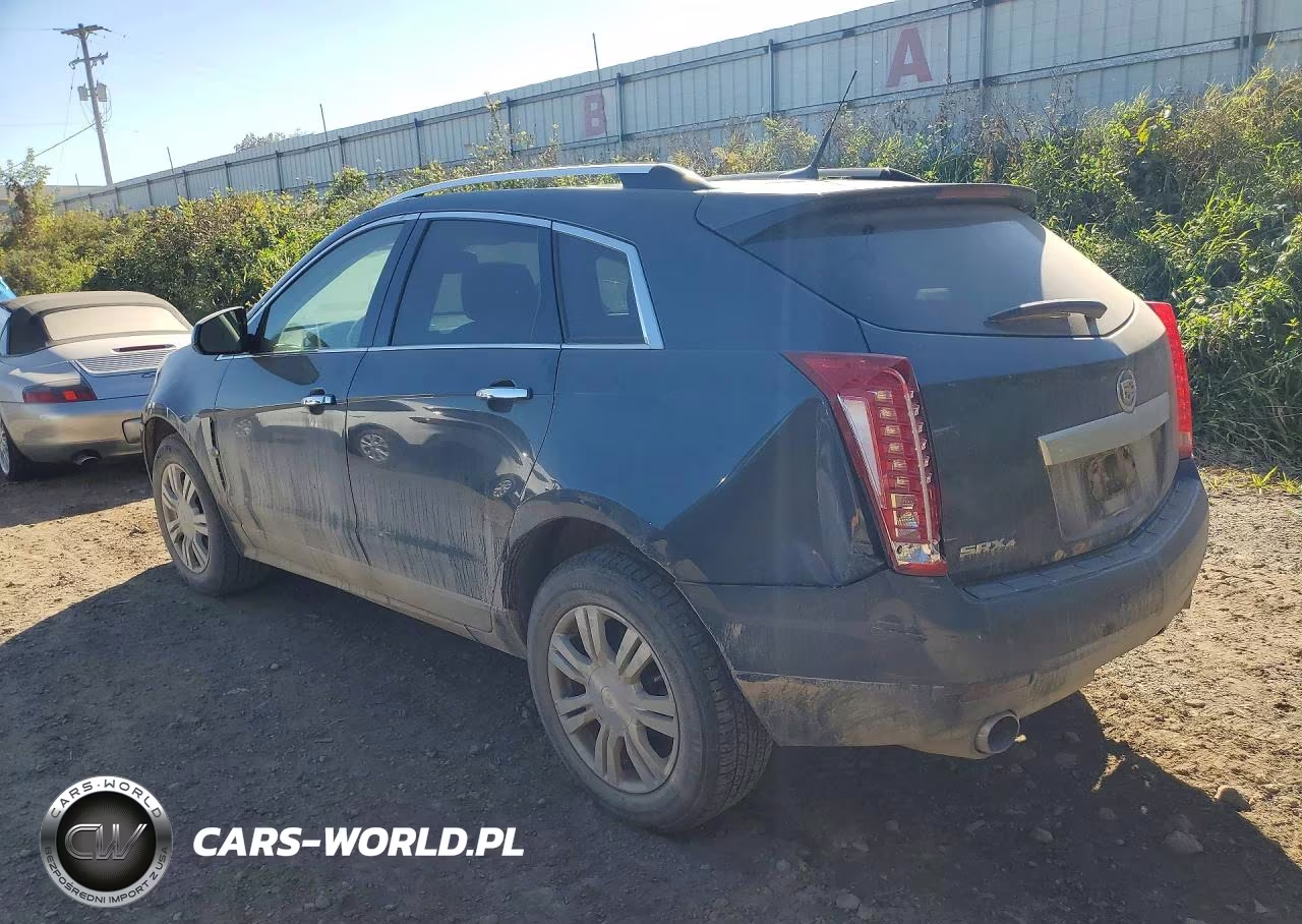 2010 Cadillac Srx Luxury Collection VIN:3GYFNDEY2AS565534 - 2